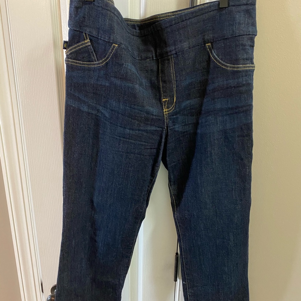 Rock & Republic Plus Size Jeans